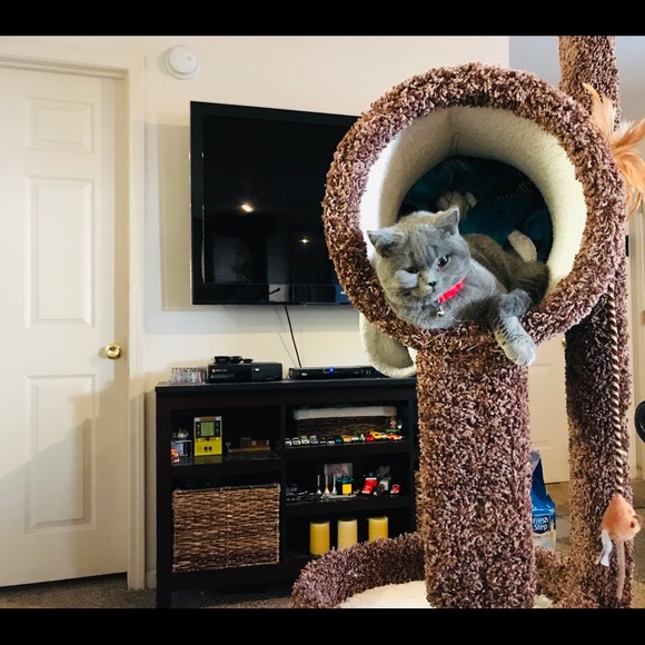 Meet your Posher, Alma - Picture 4 of 12